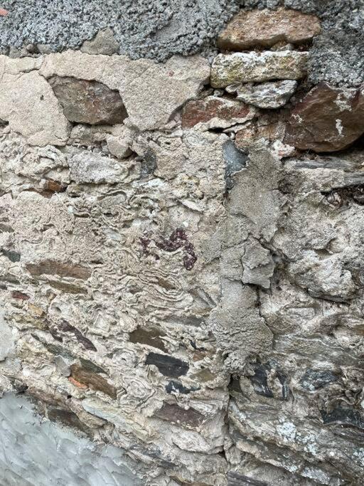 Maisonnette De Pecheur L'Aubraie Esterno foto